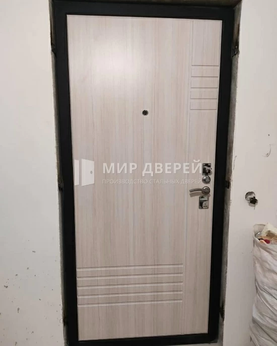 Дверь входная светлая изнутри - фото